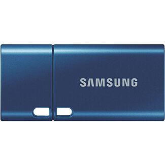 Samsung MUF-512DA/APC USB 3.1 Type-C Flash Drive Blue 512GB
