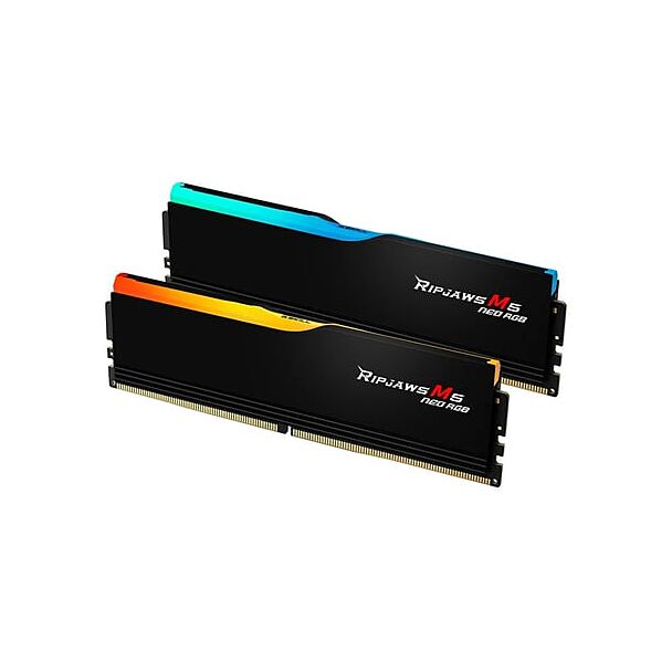G.Skill F5-6000J3636F32GX2-RM5NRK Ripjaws M5 Neo RGB 64GB (2 x 32GB) DDR5 6000Mhz 1.35V EXPO XMP Memory
